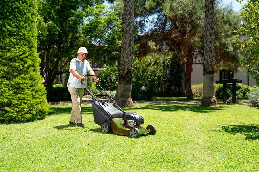 buy lawnmower